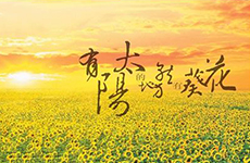 环保企业 产品、工程、运营和服务能力